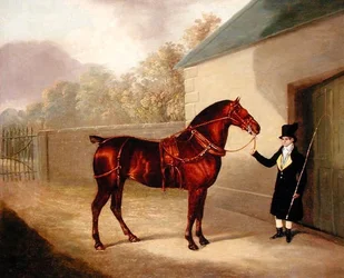 Külső nézet, 1720-ban kezdődött (fotó)