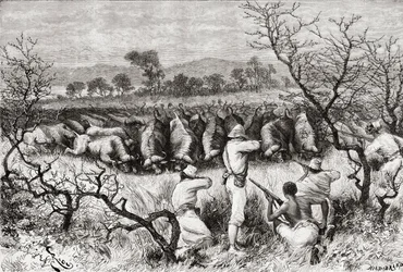 Bivalyvadászat Közép-Afrikában a 19. század végén, az „Africa Pintorescából”, 1888-ban