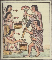 Palat asszony. 218-220 Azték lakoma, Bernardino de Sahagun firenzei kódexéből, 1540-85 körül