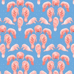 Lamantin minta, 2023 (grafitceruza és digitális)