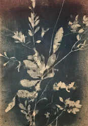 Vintage kék botanikai motívumok