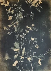 Vintage botanikai levelek