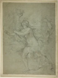 Boreas és Orithyia