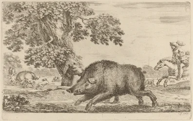 Balra futó vadkan.
