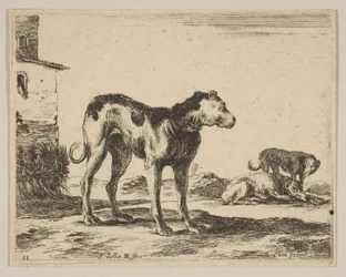 11. tábla: kutyák, különböző állatokból Diversi animali, kb. 1641.