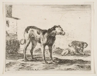 11. tábla: kutyák, különböző állatokból Diversi animali, kb. 1641.