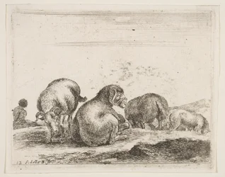 12. tábla: juhok és kosok a legelőn, különféle állatokból Diversi animali, kb. 1641.