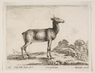 15. tábla: őzike, Különféle állatokból Diversi animali, kb. 1641.