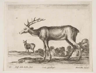 16. tábla: szarvasbika, Különféle állatokból Diversi animali, kb. 1641.