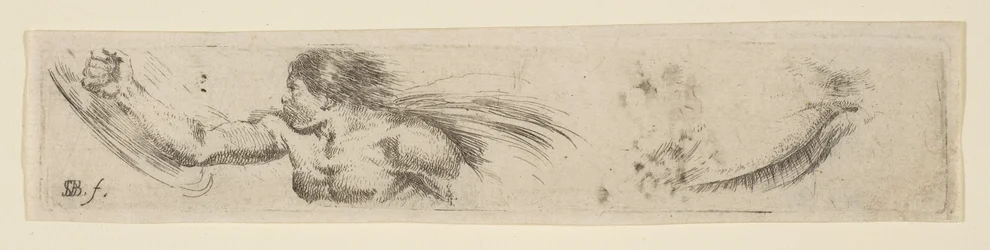 19. tábla: Pajzsos és szemű férfi törzse Tanulmány, a „Különféle dood... gyűjteményből, kb. 1646.
