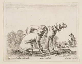 23. tábla: két vadászkutya, különféle állatokból Diversi animali, kb. 1641.