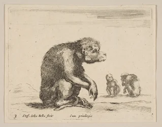 3. tábla: ülő majom, különféle állatokból Diversi animali, kb. 1641.