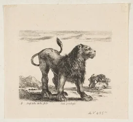 6. tábla: oroszlán, a „Különféle állatok” fajtából Diversi animali, kb. 1641.