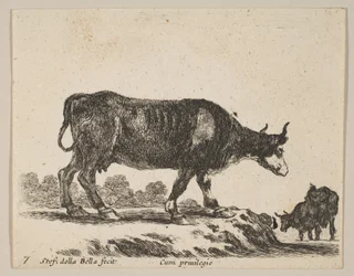 7. tábla: tehén, különféle állatokból Diversi animali, kb. 1641.