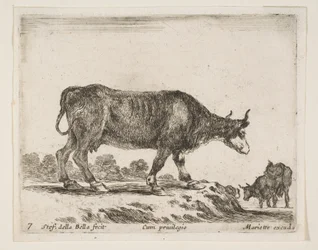 7. tábla: ökör, különböző állatokból Diversi animali, kb. 1641.