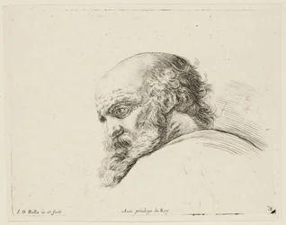 Tanulmány (I principii del disegno, 18)