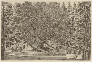 A lakott fa, valószínűleg 1653.