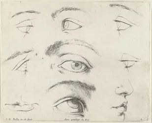 Hét szem, két száj és egy orr A rajzolás alapjai (sorozat címe) I principii del disegno (sorozat címe)