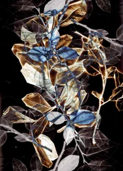 Freyr IX, 2018 (digitális)