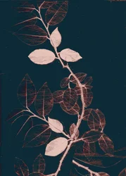 Freyr VII Dark Copper, 2018 (digitális)