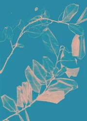 Freyr VI Hajnal, 2018 (digitális)