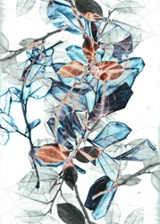 Freyr X, 2018 (digitális)