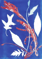 Jol I, 2017 (monoprint papírra)