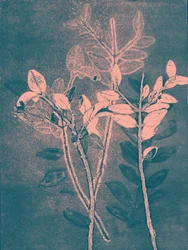 VI. évad, 2018 (digitális)