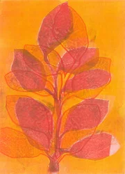 Nyári kert II, 2015 (monoprint papírra)