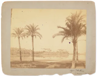 Memphis faluja, Egyiptom, 1898-1920 körül (fekete-fehér fotó)