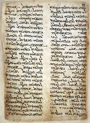 Hozzáadás. 14425, f.31, Szövegoldal a Pentateuchból. (Genesis, Exodus, Numbers, Deuteronomy), 464 (vellum)