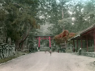 A lámpás szentély bejárata a Kasauga Taisha parkban, Nara, 1900-1915 körül (fénykép)