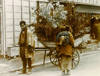 Vándorló virágárus Tokió utcáin, 1900 körül - 1915 (fénykép)
