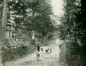 Kasauga Taisha park Narában, 1900-1915 körül (fénykép)