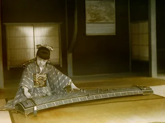 Koto-t játszó japán nő portréja 1900 körül - 1915 (fénykép)
