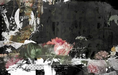 Vogued, 2015 (kollázs vászonra)