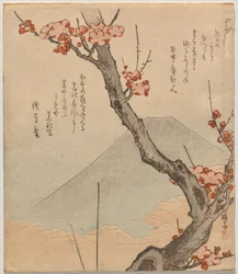 Szilvafa a Fuji-hegygel