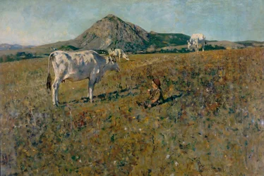 Legelő Pietramalában