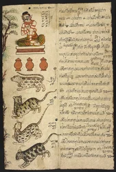 Or 4830 „Thai jóskönyv (Phrommachat), a kínai állatövre épülő horoszkópokkal”