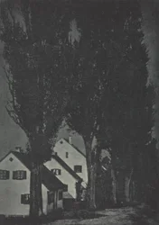 Kameramunka: Dachau, 1904.