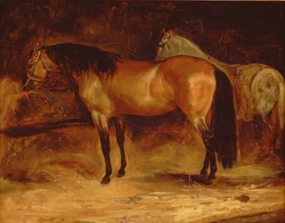 Egy Bay Horse a jászolban, egy szürke lóval a szőnyegben