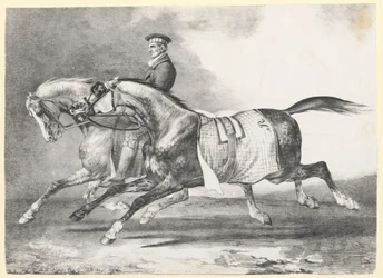 Két foltos szürke ló, amelyet sétáltatnak (Two Dapple-Grays Being Exercised)