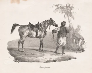 Egyiptomi kanca, 1822.