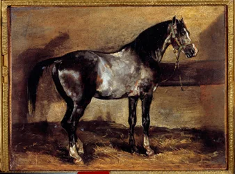 Gray Horse at the Ratelier Theodore Gericault festménye (1791-1824) 19. századi nap. 0,26x0,34 m