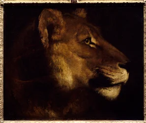 Oroszlánfej festmény, Theodore Gericault (1791-1824) 19. század V. 0,55x0,65 m Párizs, Musee du Louvre. - Oroszlán feje. Theodore Gericault festménye (1791-1824)