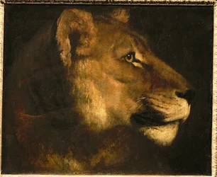 Tete de lionne. Oroszlánfej ...