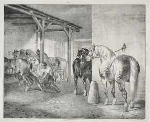 A Ferrier fészer