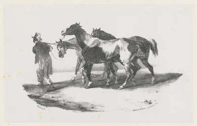 Három lovat visznek a vágóhídra (Three Horses Being Led to the Slaughterhouse)