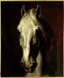 Fehér ló feje. Théodore Géricault (1791-1824) festménye