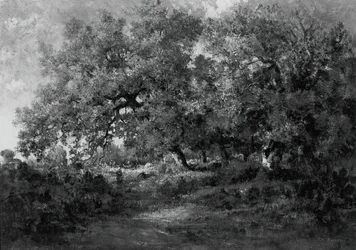 Táj, c. 1860.